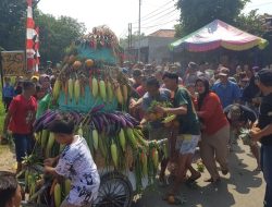 Lestarikan Tradisi, Pemdes Astanamukti Gelar Sedekah Bumi 7 Lestarikan Tradisi, Pemdes Astanamukti Gelar Sedekah Bumi