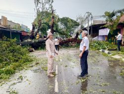 Albasiah Tumbang Diterjang Hujan Disertai Angin Kencang 4 Albasiah Tumbang Diterjang Hujan Disertai Angin Kencang