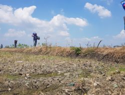 Ribuan Hektare Sawah Cirebon Terancam Gagal Panen Karena Longsor Kuningan 7 Ribuan Hektare Sawah Cirebon Terancam Gagal Panen Karena Longsor Kuningan