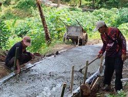 Pemdes Gumulung Tonggoh Fokus Peningkatan Jalan Produksi Tani 4 Pemdes Gumulung Tonggoh Fokus Peningkatan Jalan Produksi Tani