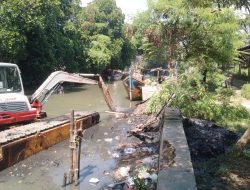 Pemdes Pengarengan Apresiasi Pengerukan Sungai Singaraja: Nelayan Kembali Tersenyum, Rob Tak Lagi Mengintai 12 Pemdes Pengarengan Apresiasi Pengerukan Sungai Singaraja: Nelayan Kembali Tersenyum, Rob Tak Lagi Mengintai