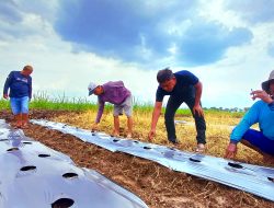 Kuwu Japura Kidul Akui Tak Tahu Program BUMDes, Desak Transparansi hingga Wacana Ganti Pengurus