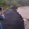 Jalan Penghubung Sedong Kidul–Karangwuni Putus Diterjang Banjir, 147 KK Terisolir dan 4 Rumah Rusak