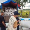 BULOG Jawa Barat Tembus 100,07 Persen Target Pengadaan, Cirebon Berkontribusi 154 Ribu Ton