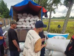 BULOG Jawa Barat Tembus 100,07 Persen Target Pengadaan, Cirebon Berkontribusi 154 Ribu Ton