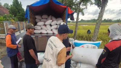 BULOG Jawa Barat Tembus 100,07 Persen Target Pengadaan, Cirebon Berkontribusi 154 Ribu Ton